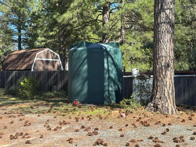 a view of a yard with trees