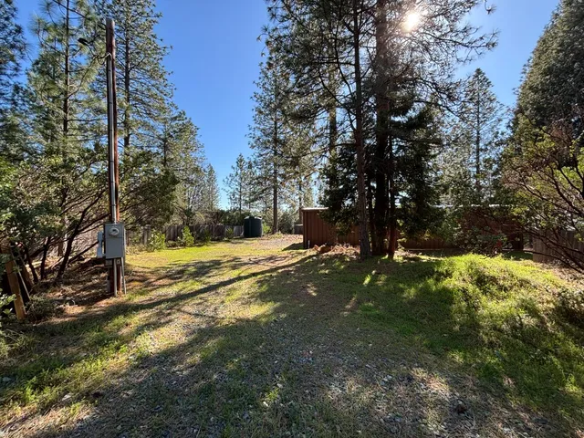 a view of a yard with trees