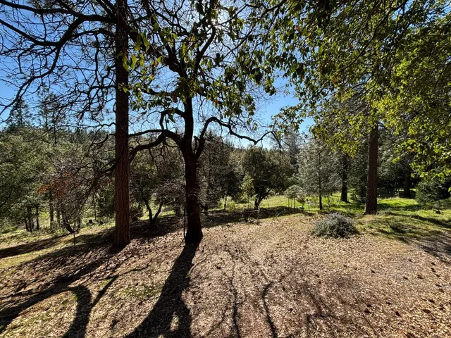 a view of outdoor space with deck and tree