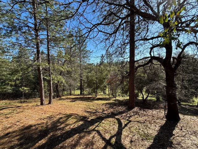 a view of a backyard with table and chairs plants and trees
