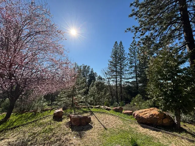 a view of a yard with a house in the background