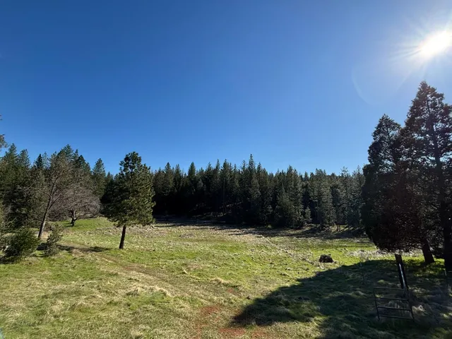 a yard with trees in the background