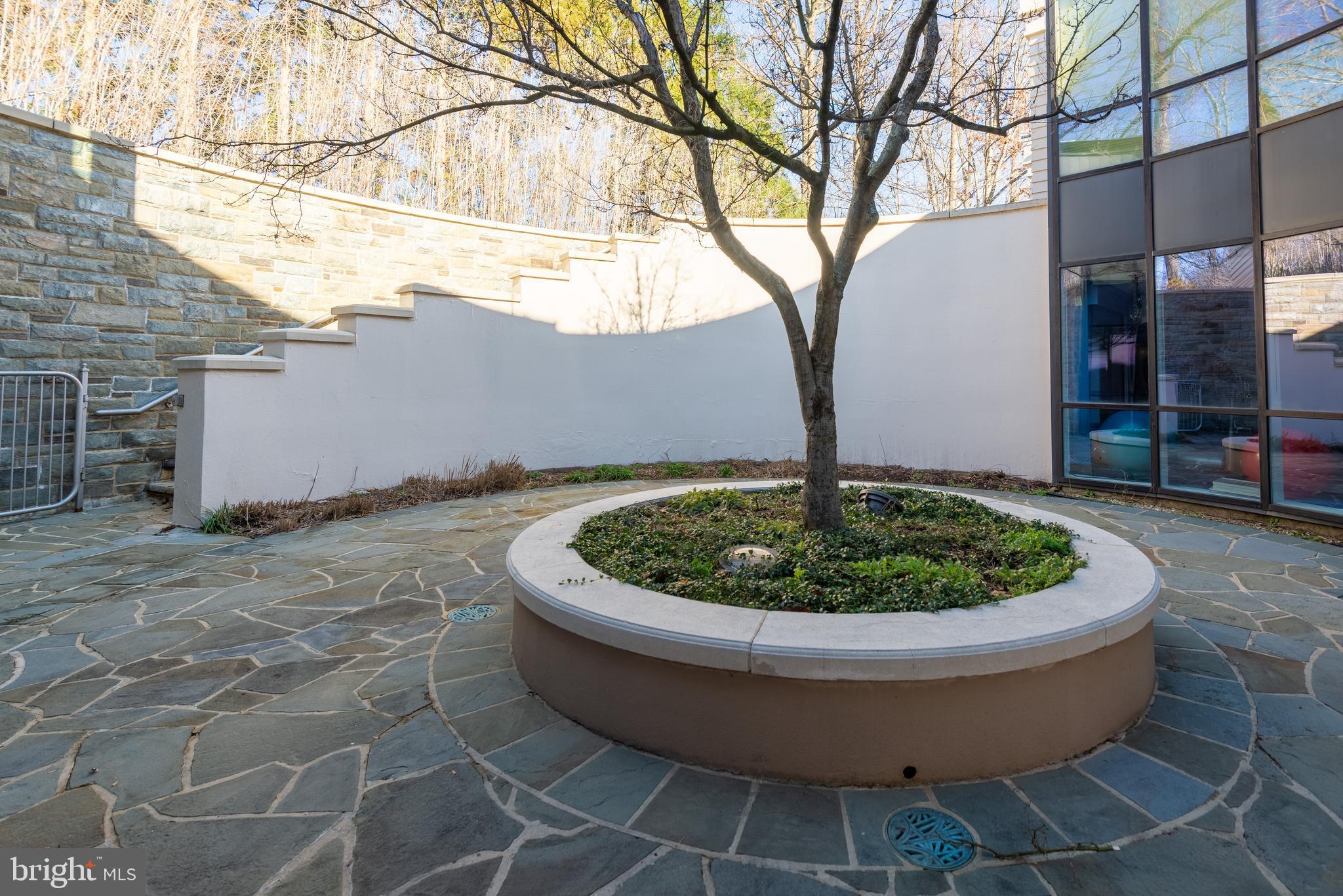 10111 Iron Gate Road Potomac, MD 20854 - Photo 68 of 94 a view of a small house with a yard potted plants and large tree
