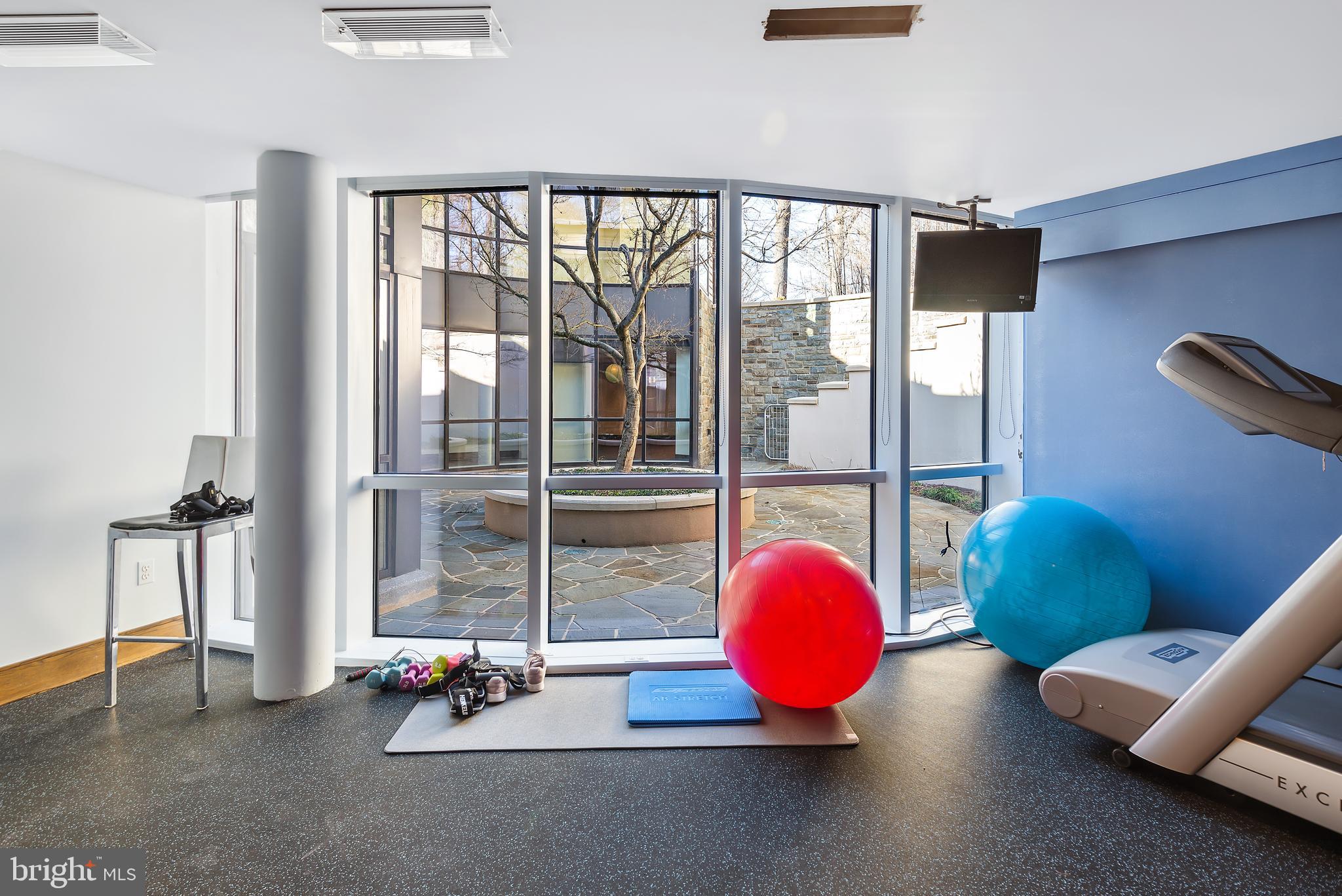 10111 Iron Gate Road Potomac, MD 20854 - Photo 75 of 94 HUGE GYM with Terrace Views