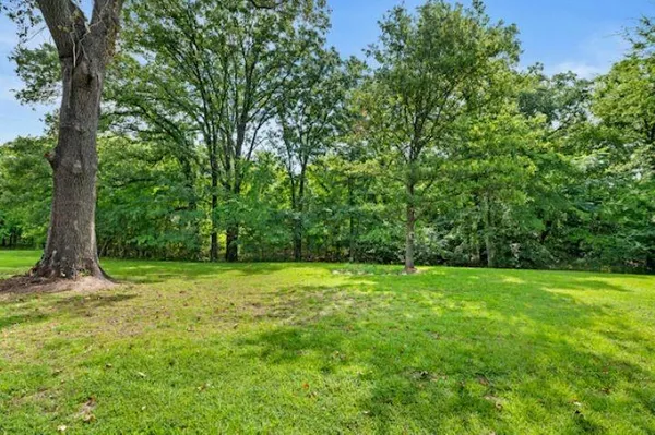 a view of outdoor space and yard