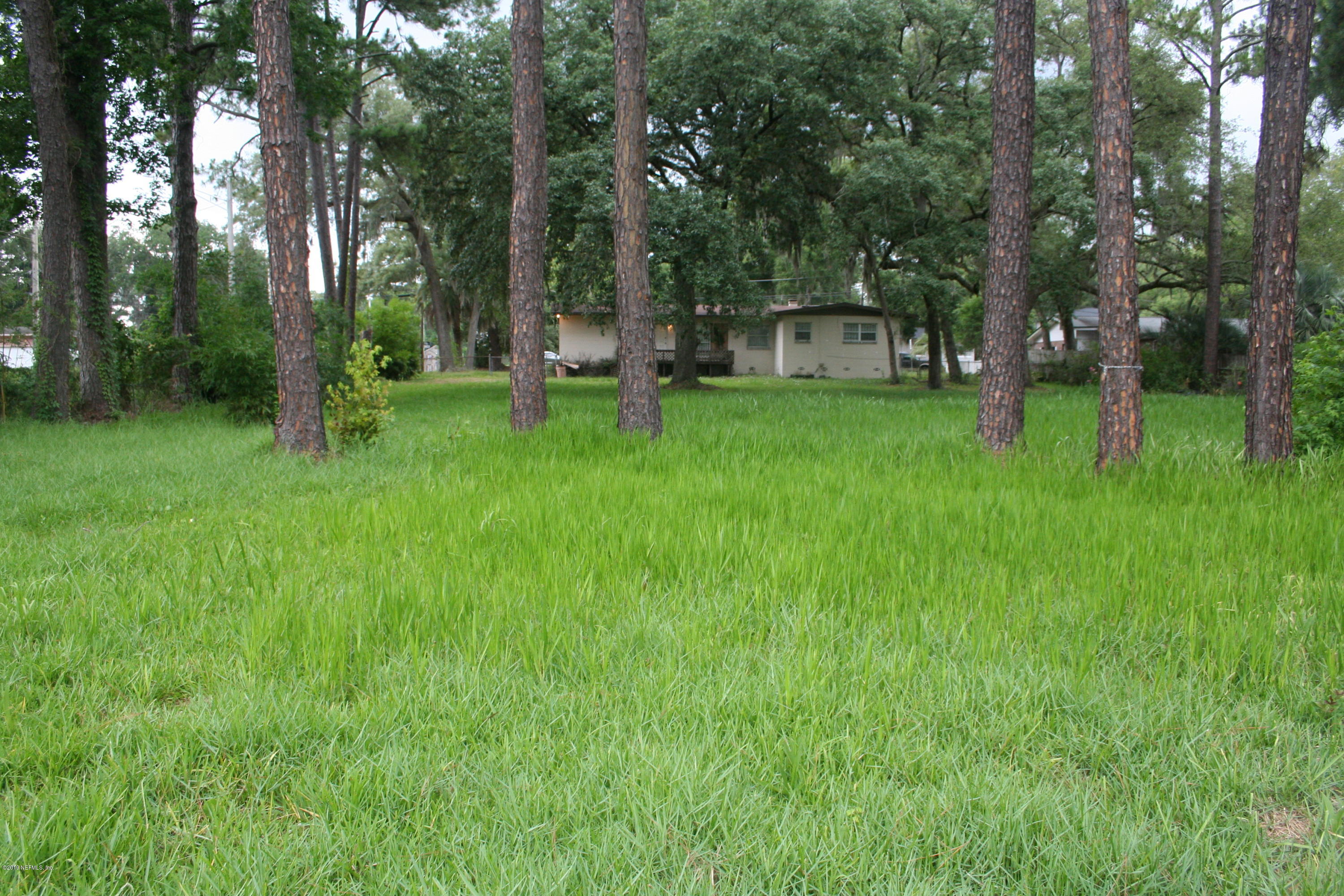 10405 Villanova Road Jacksonville, FL 32218 - Photo 11 of 25 Park-like Back Yard