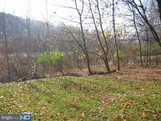 1176 Old Lancaster Pike Sinking Spring, PA 19608 - Photo 6 of 6 Gallery Image 6