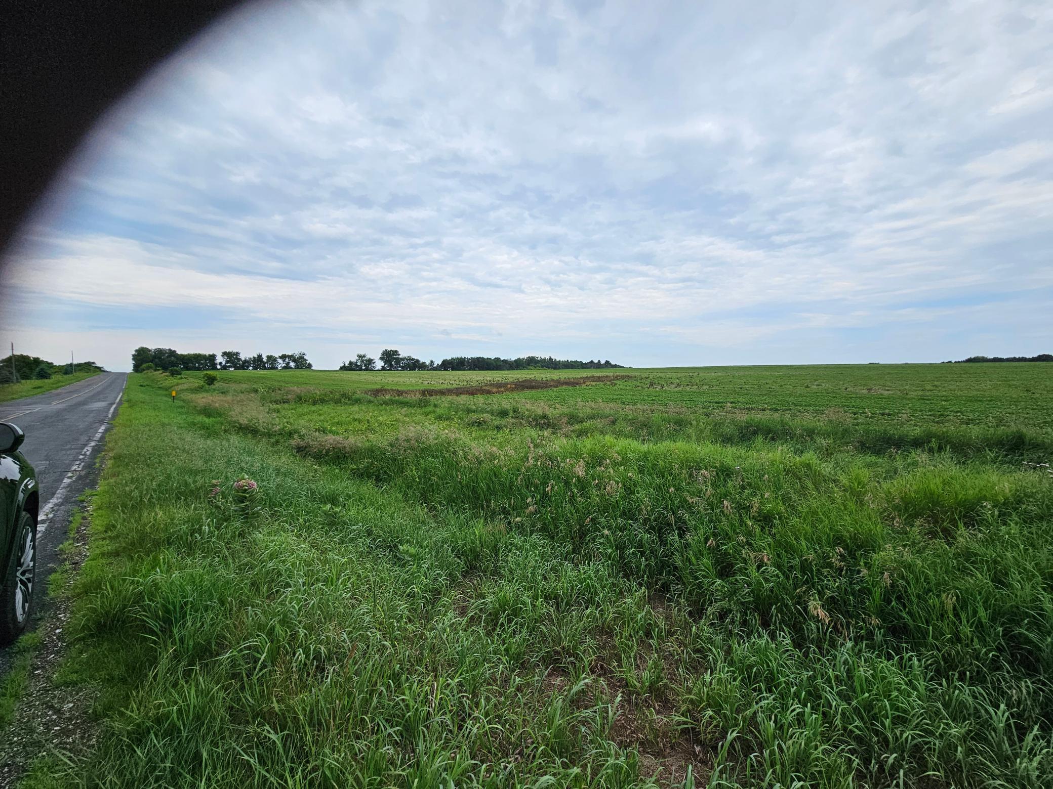 40-acres County Road West River Falls, WI 54022 - Photo 2 of 4