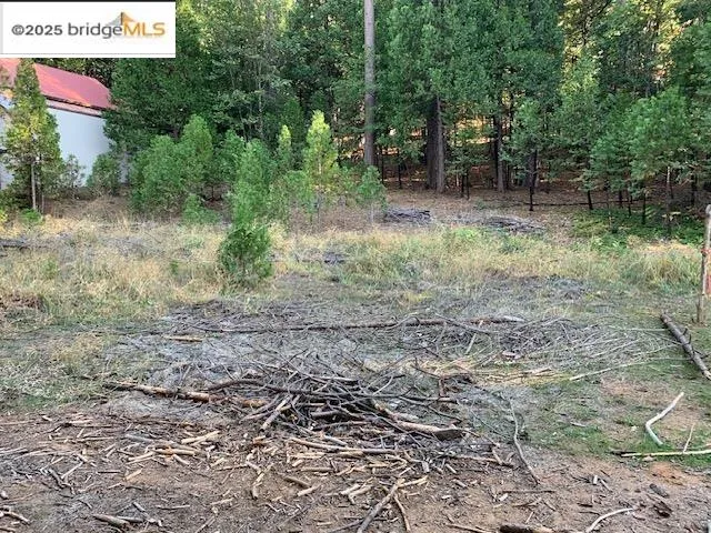 $139,000 | 22975 Twain Harte Drive, Twain Harte, CA 95383