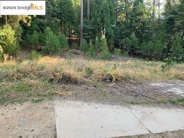 $139,000 | 22975 Twain Harte Drive, Twain Harte, CA 95383