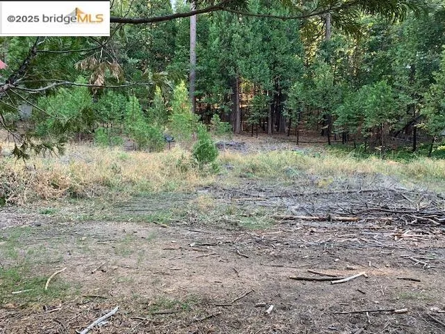 $139,000 | 22975 Twain Harte Drive, Twain Harte, CA 95383