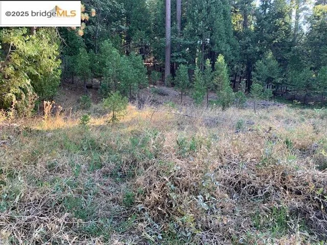 $139,000 | 22975 Twain Harte Drive, Twain Harte, CA 95383