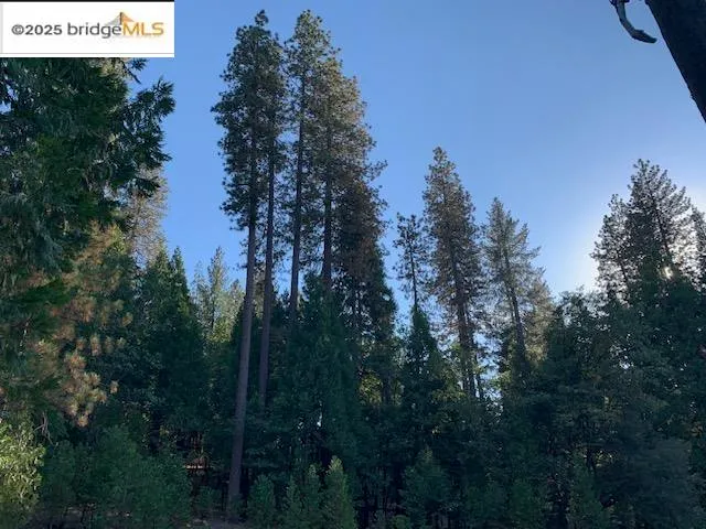 $139,000 | 22975 Twain Harte Drive, Twain Harte, CA 95383