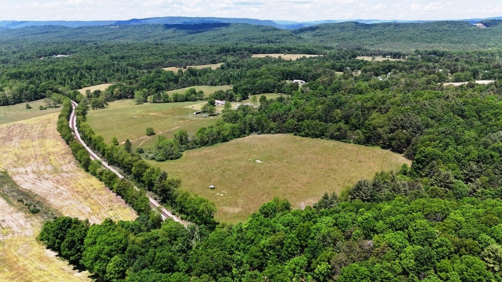 85-acre Coffey Road, Unit 1 & 2 Max Meadows, VA 24360 - Photo 8 of 25 Gallery Image 8