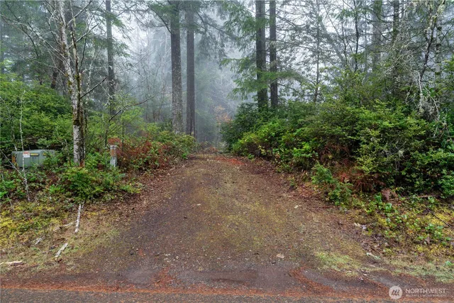a view of a plants and trees in the background