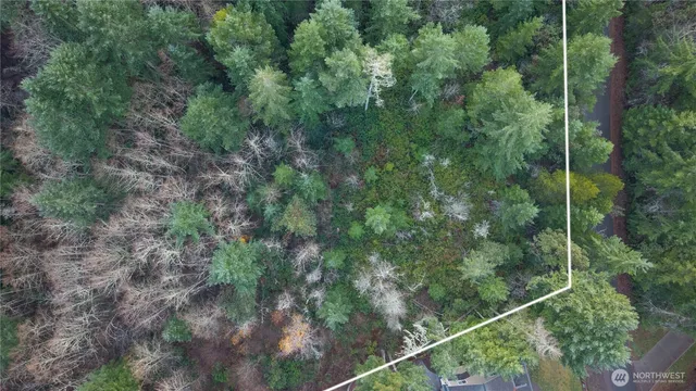 a view of a forest from a balcony