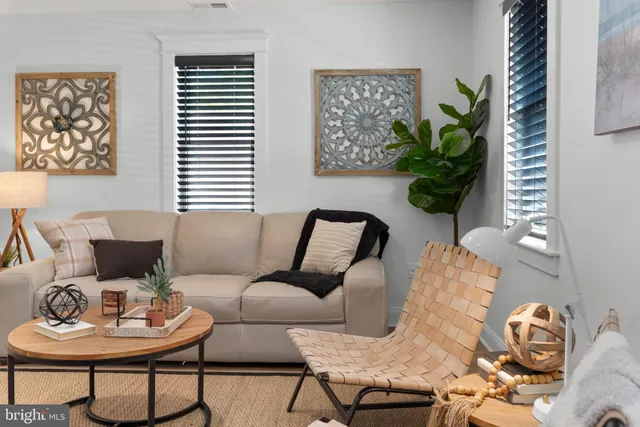 a living room with furniture and a potted plant