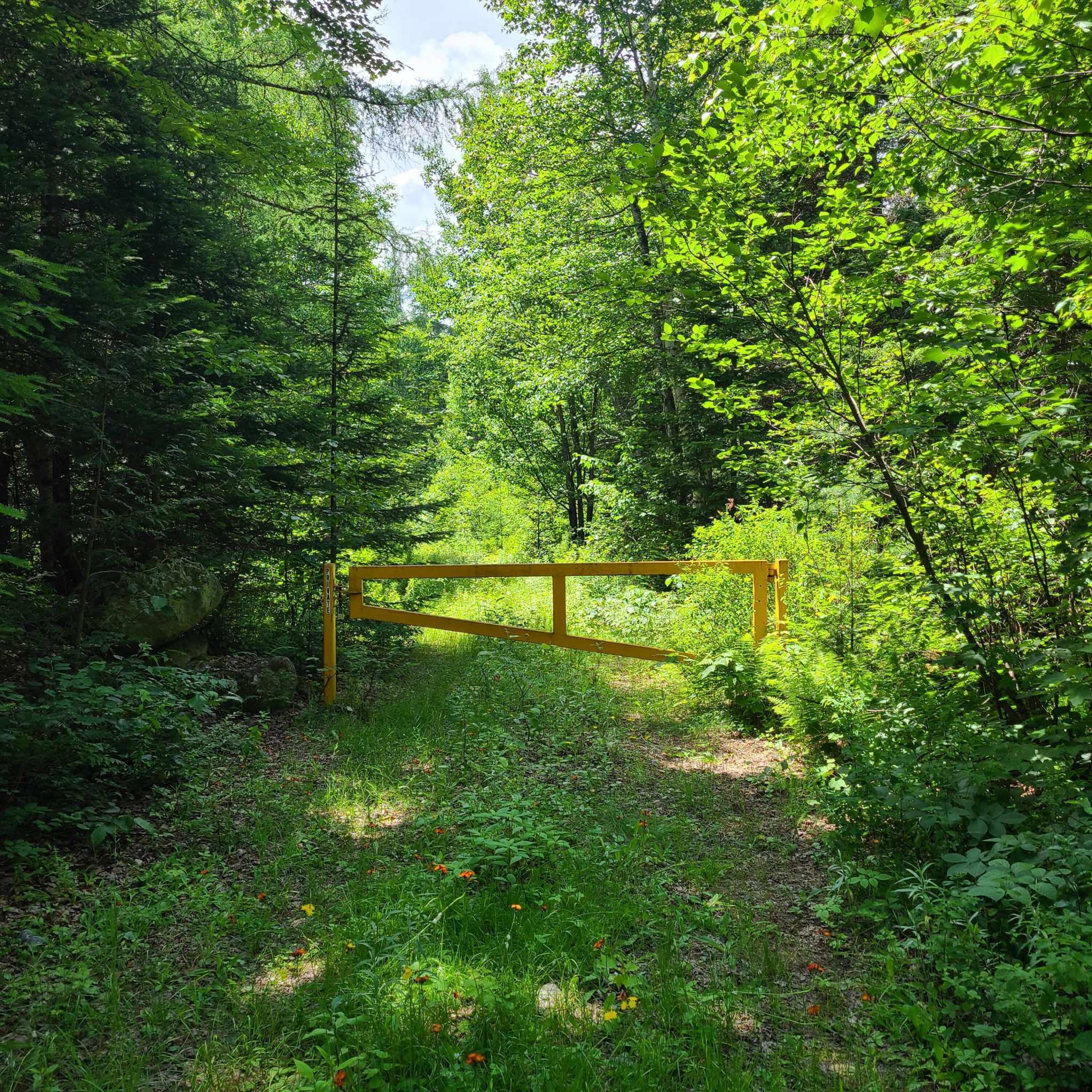 0 Off Loop Road Eustis, ME 04936 - Photo 19 of 29 private gated road