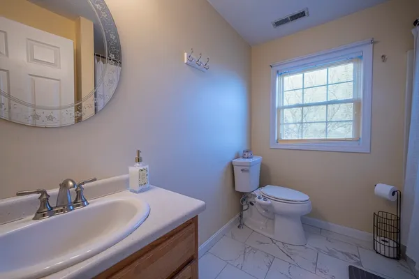 a bathroom with a sink a toilet and a mirror