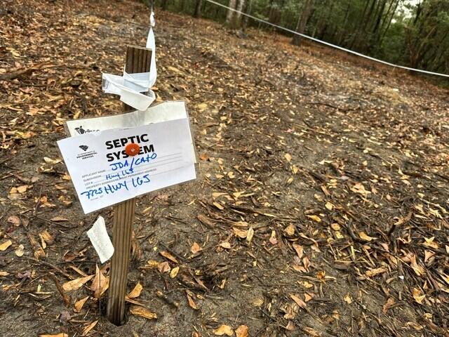 7225 Highway 165 Ravenel, SC 29470 - Photo 11 of 42 4