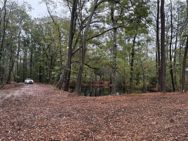 7225 Highway 165 Ravenel, SC 29470 - Photo 12 of 42 6