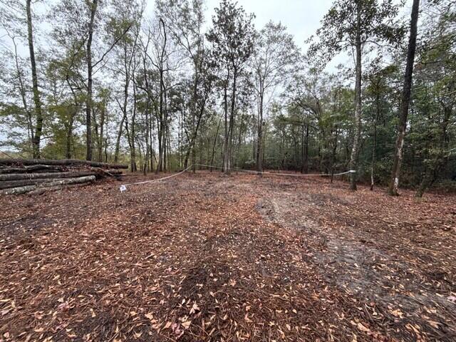 7225 Highway 165 Ravenel, SC 29470 - Photo 13 of 42 3