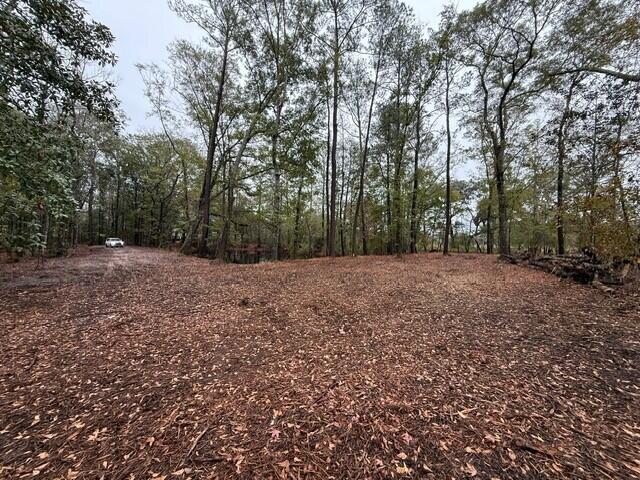 7225 Highway 165 Ravenel, SC 29470 - Photo 14 of 42 5