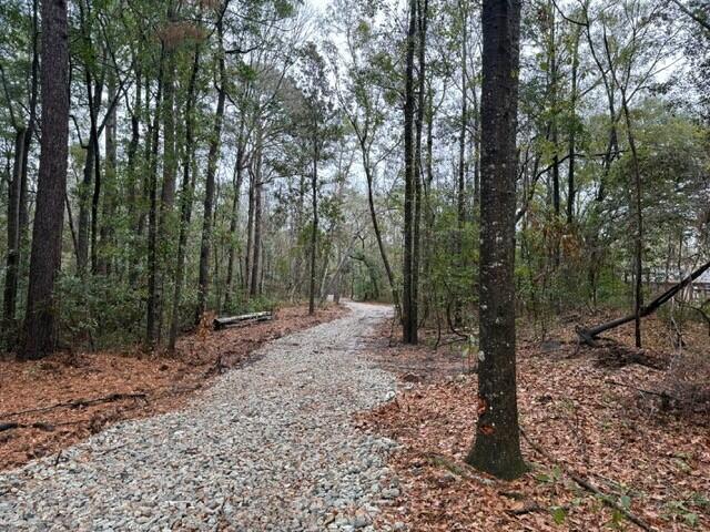 7225 Highway 165 Ravenel, SC 29470 - Photo 15 of 42 7