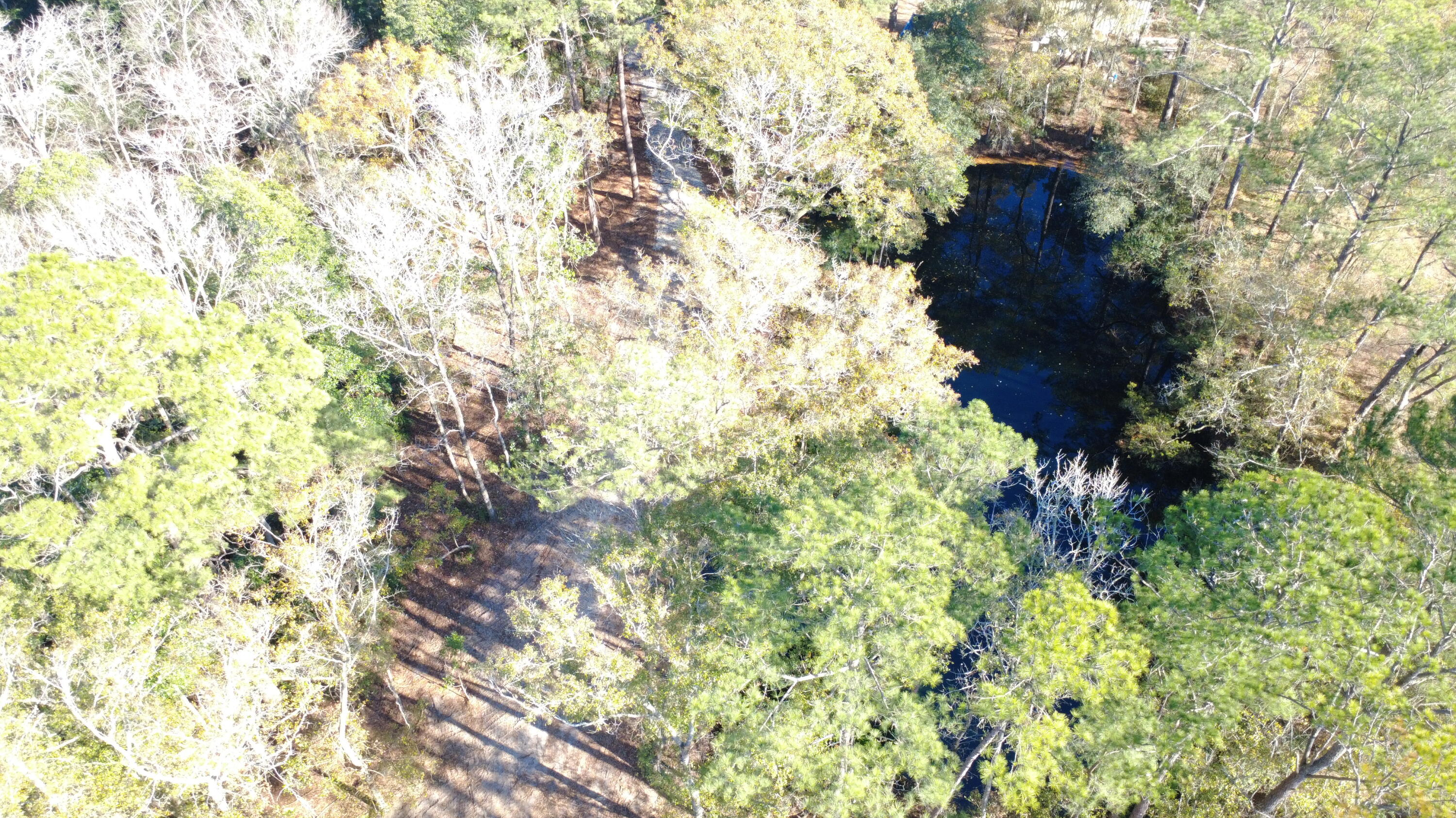 7225 Highway 165 Ravenel, SC 29470 - Photo 17 of 42 DJI_0008