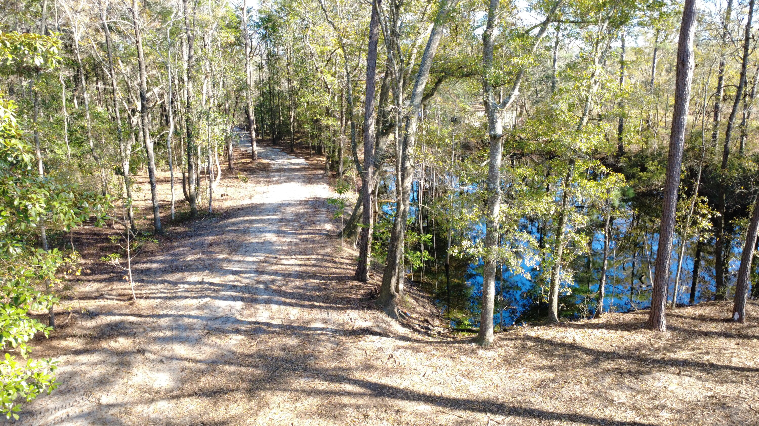 7225 Highway 165 Ravenel, SC 29470 - Photo 18 of 42 DJI_0009