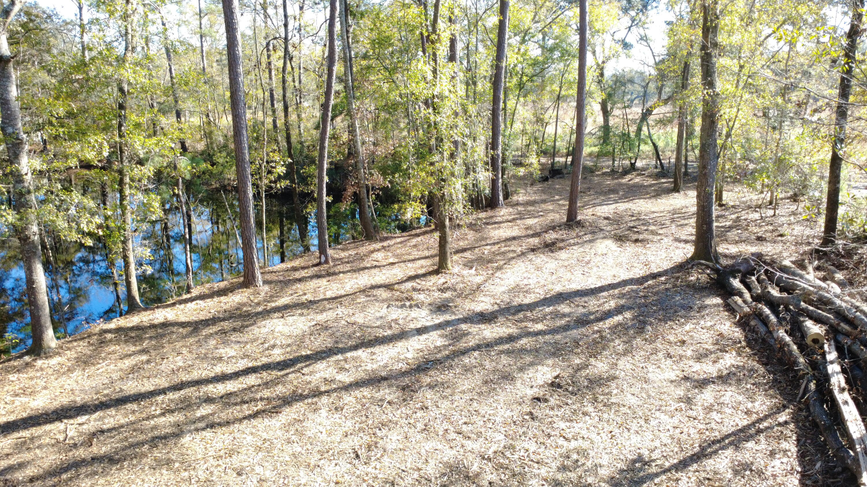 7225 Highway 165 Ravenel, SC 29470 - Photo 19 of 42 DJI_0010