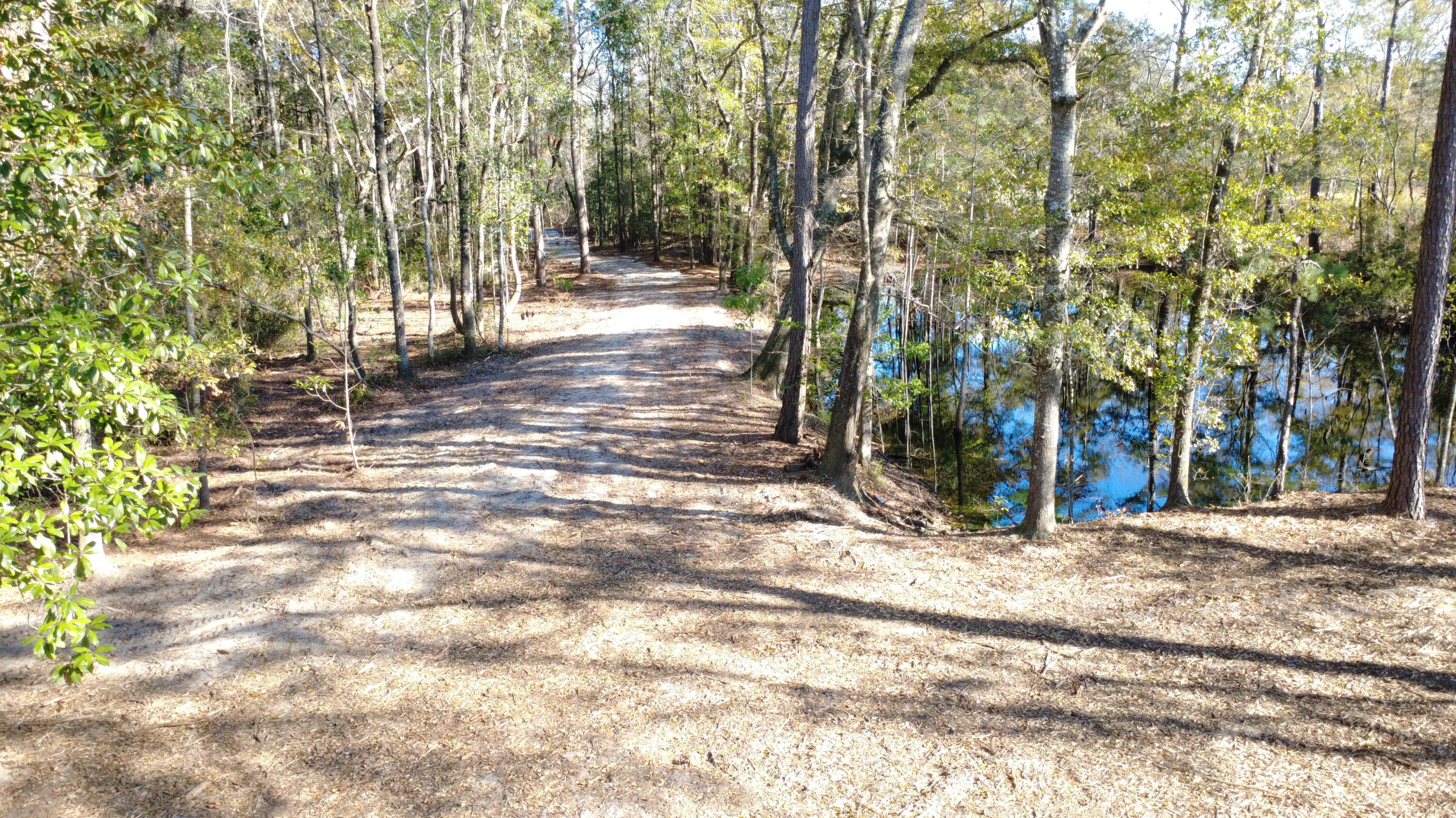 7225 Highway 165 Ravenel, SC 29470 - Photo 20 of 42 DJI_0011
