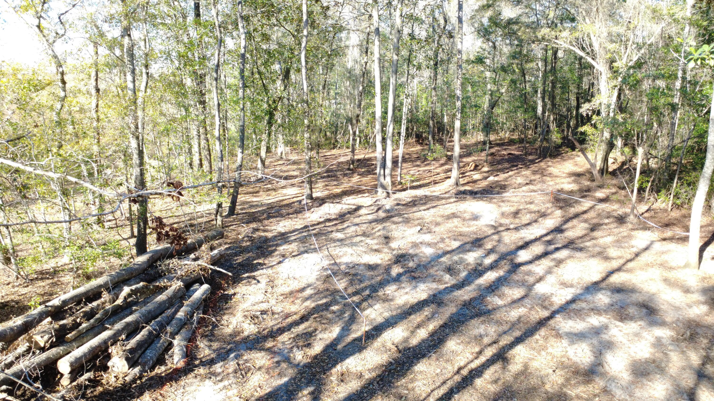 7225 Highway 165 Ravenel, SC 29470 - Photo 21 of 42 DJI_0012