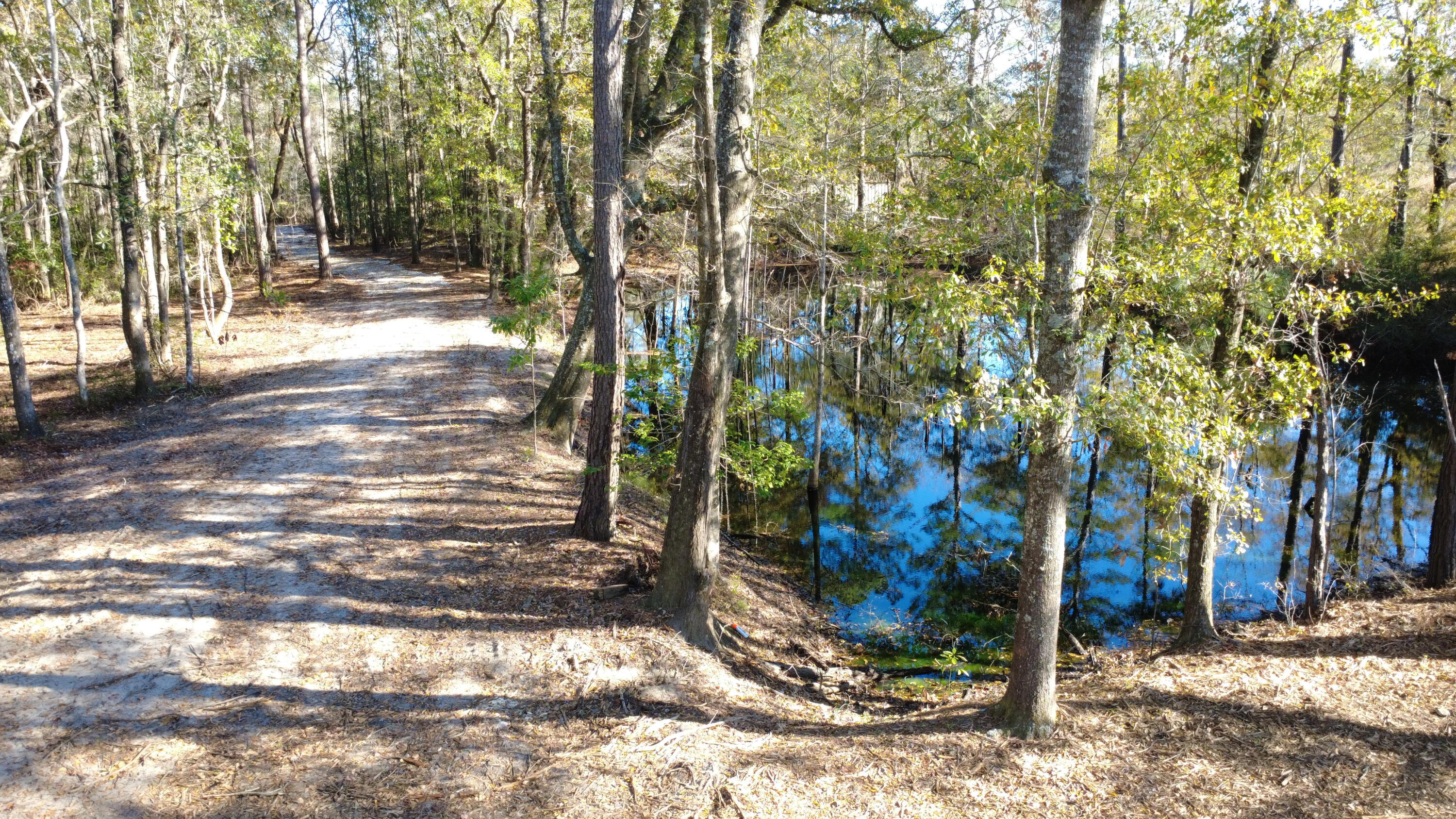 7225 Highway 165 Ravenel, SC 29470 - Photo 22 of 42 DJI_0013