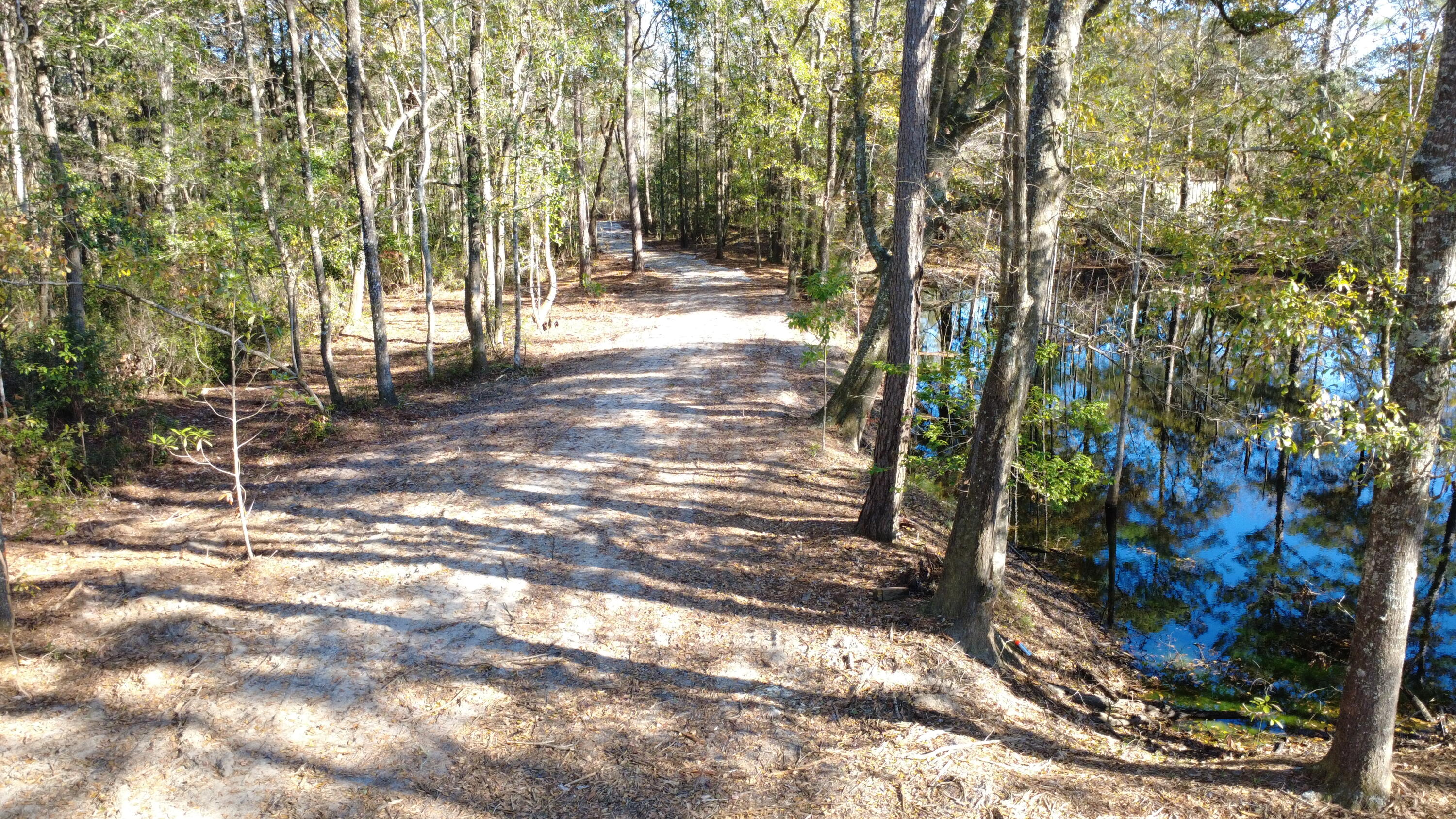 7225 Highway 165 Ravenel, SC 29470 - Photo 23 of 42 DJI_0014