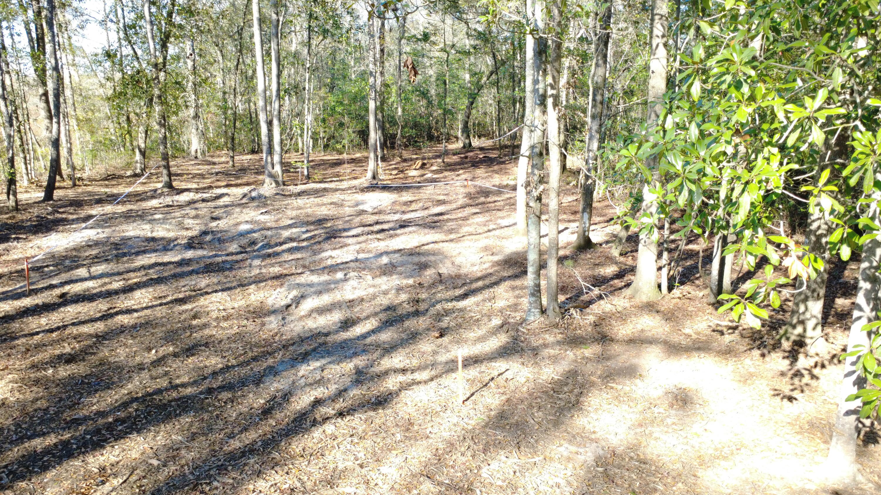 7225 Highway 165 Ravenel, SC 29470 - Photo 24 of 42 DJI_0015