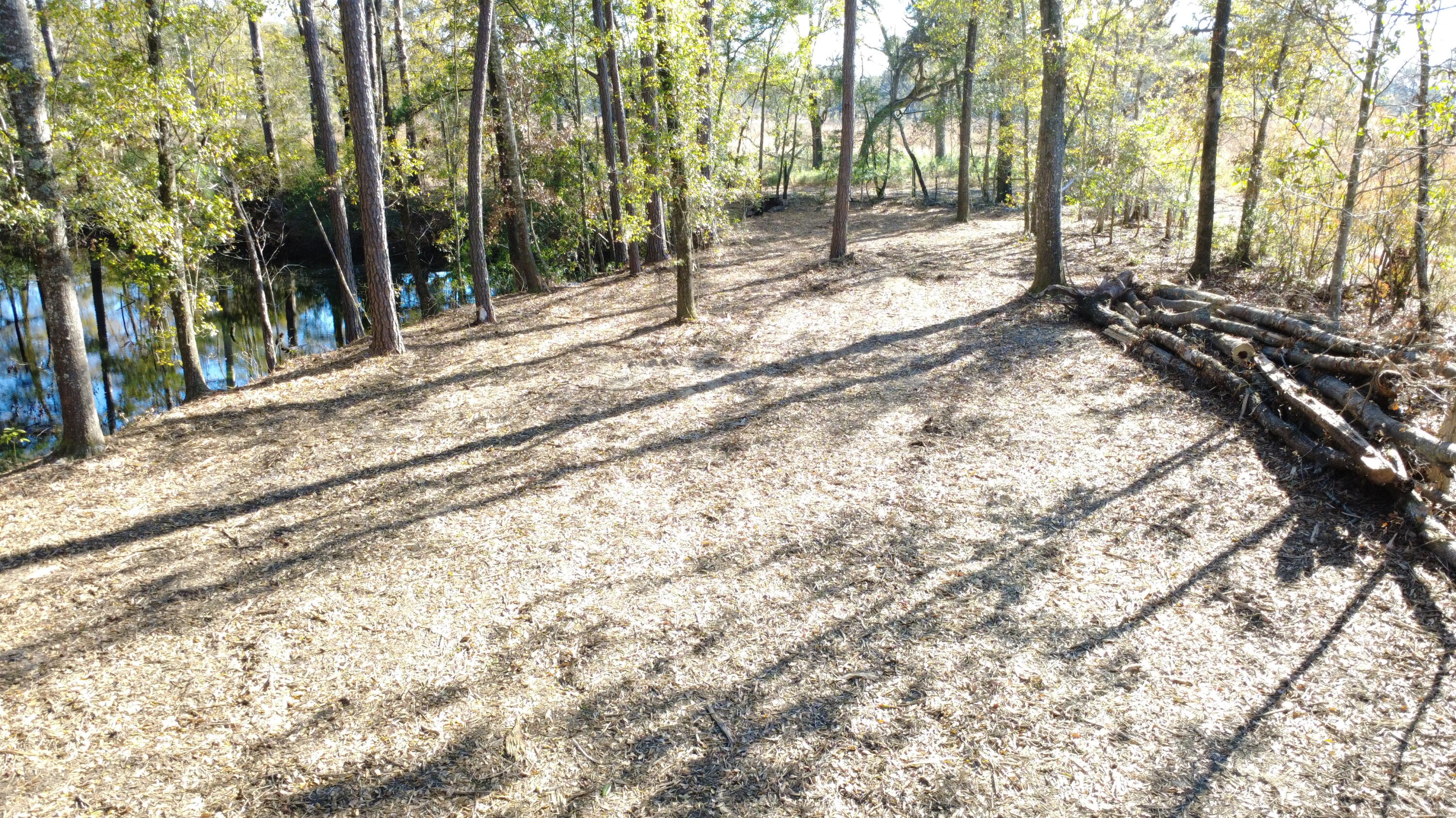 7225 Highway 165 Ravenel, SC 29470 - Photo 25 of 42 DJI_0016