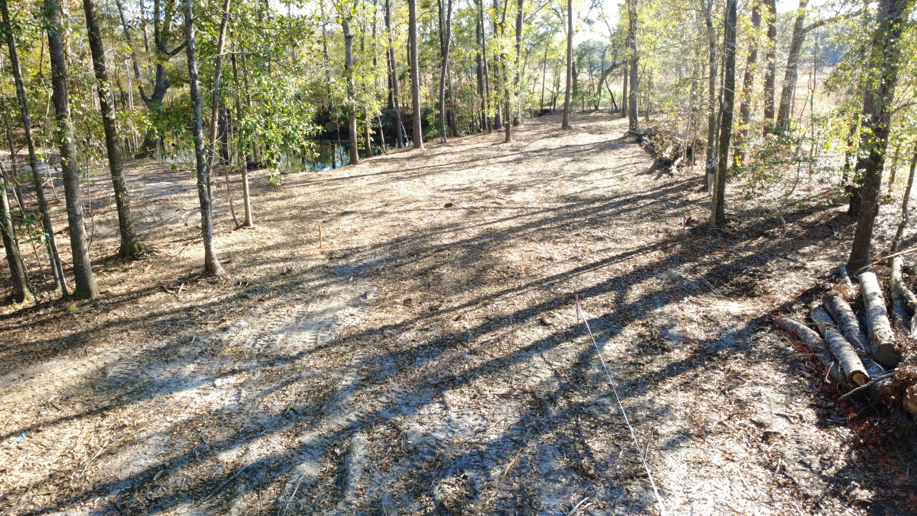 7225 Highway 165 Ravenel, SC 29470 - Photo 27 of 42 DJI_0018