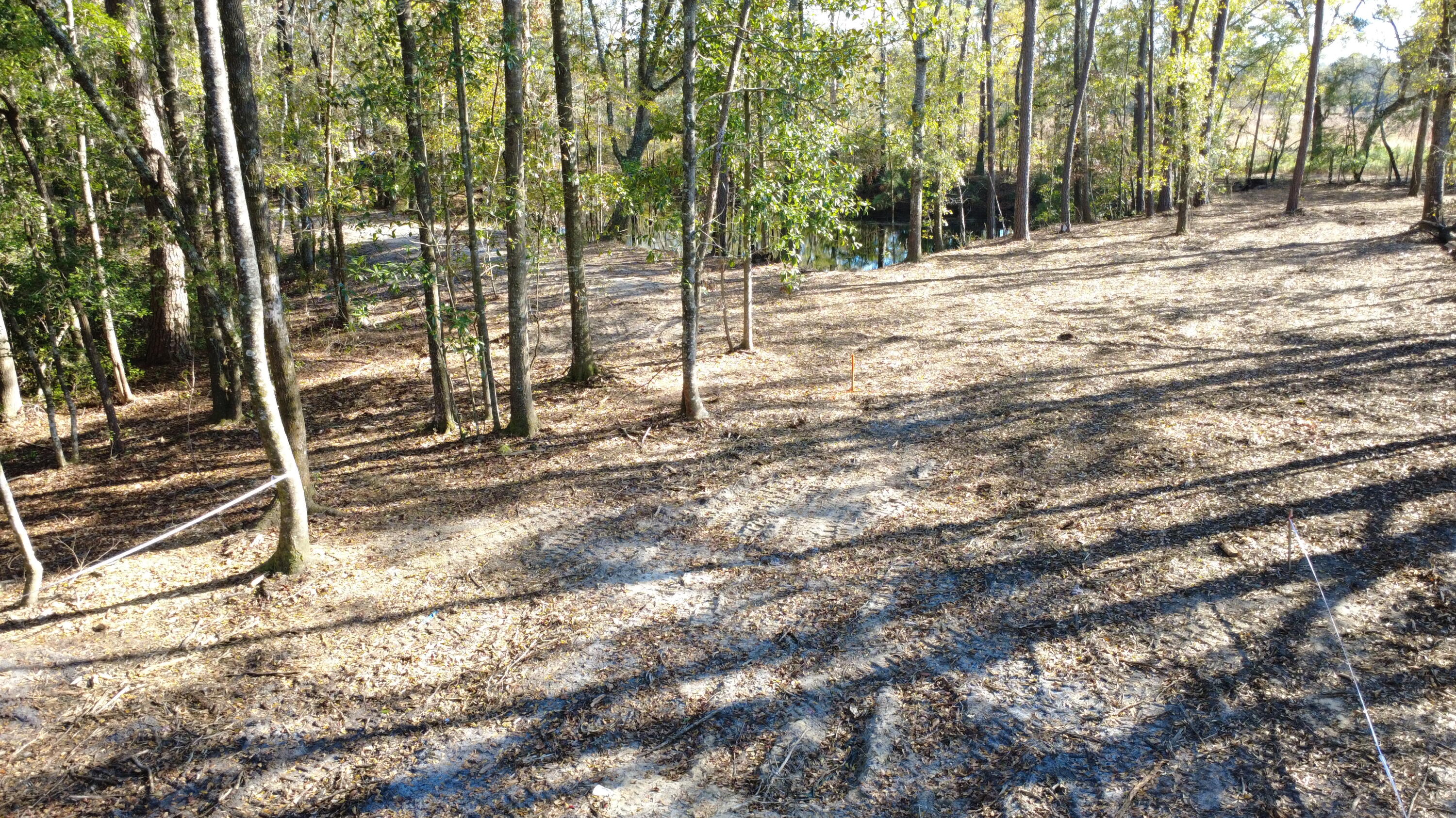 7225 Highway 165 Ravenel, SC 29470 - Photo 28 of 42 DJI_0019