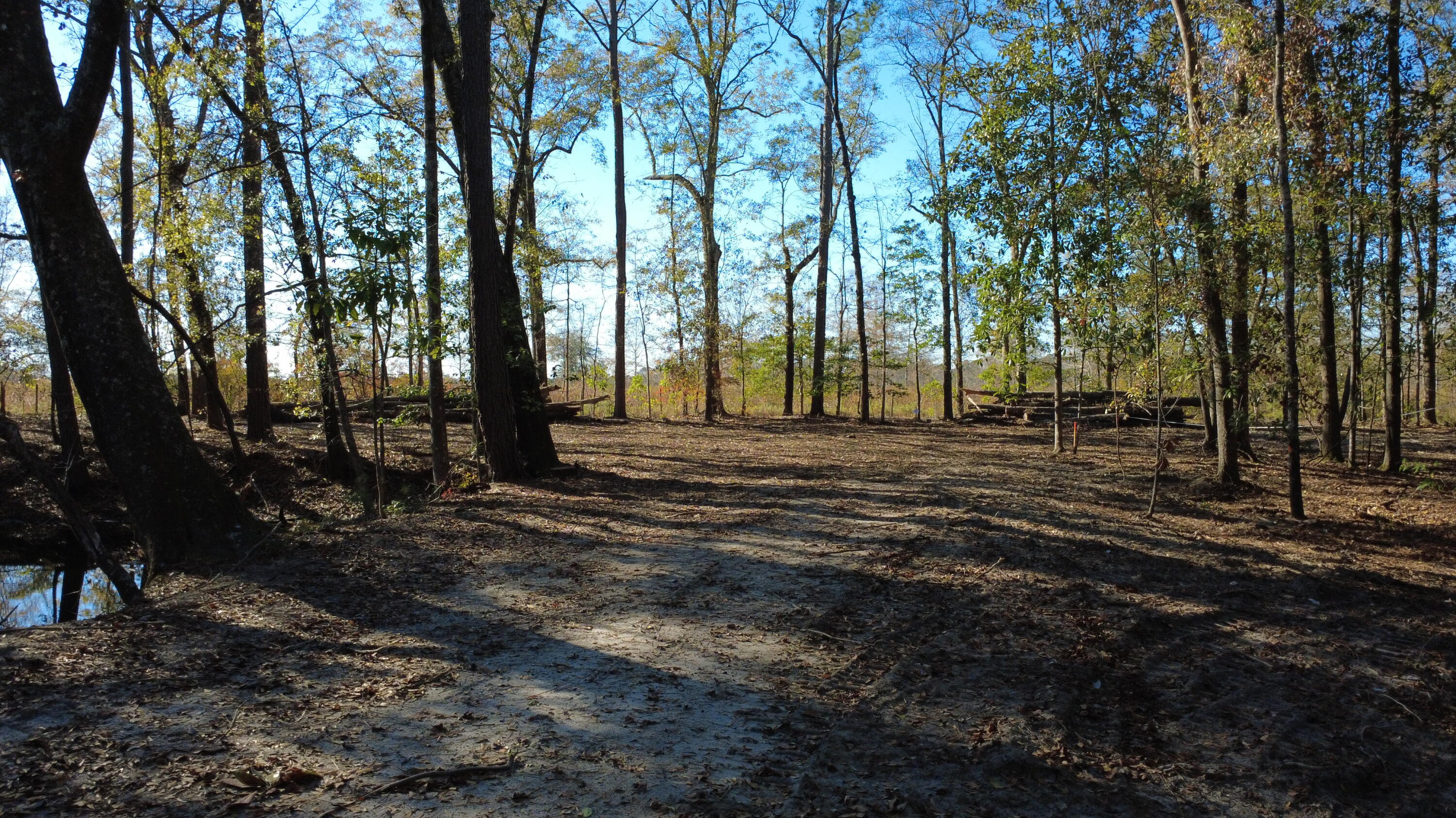 7225 Highway 165 Ravenel, SC 29470 - Photo 3 of 42 DJI_0038