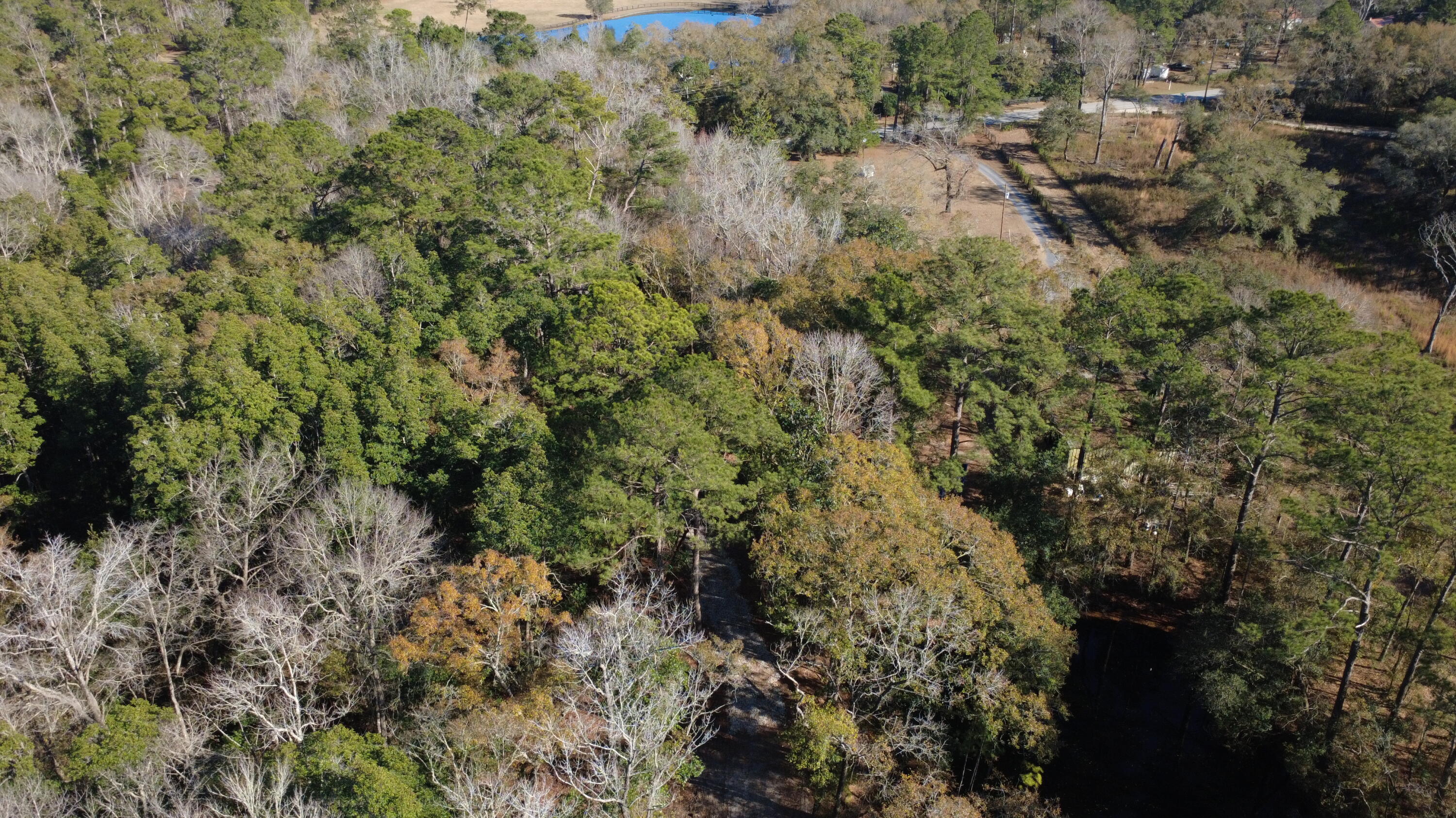 7225 Highway 165 Ravenel, SC 29470 - Photo 31 of 42 DJI_0023