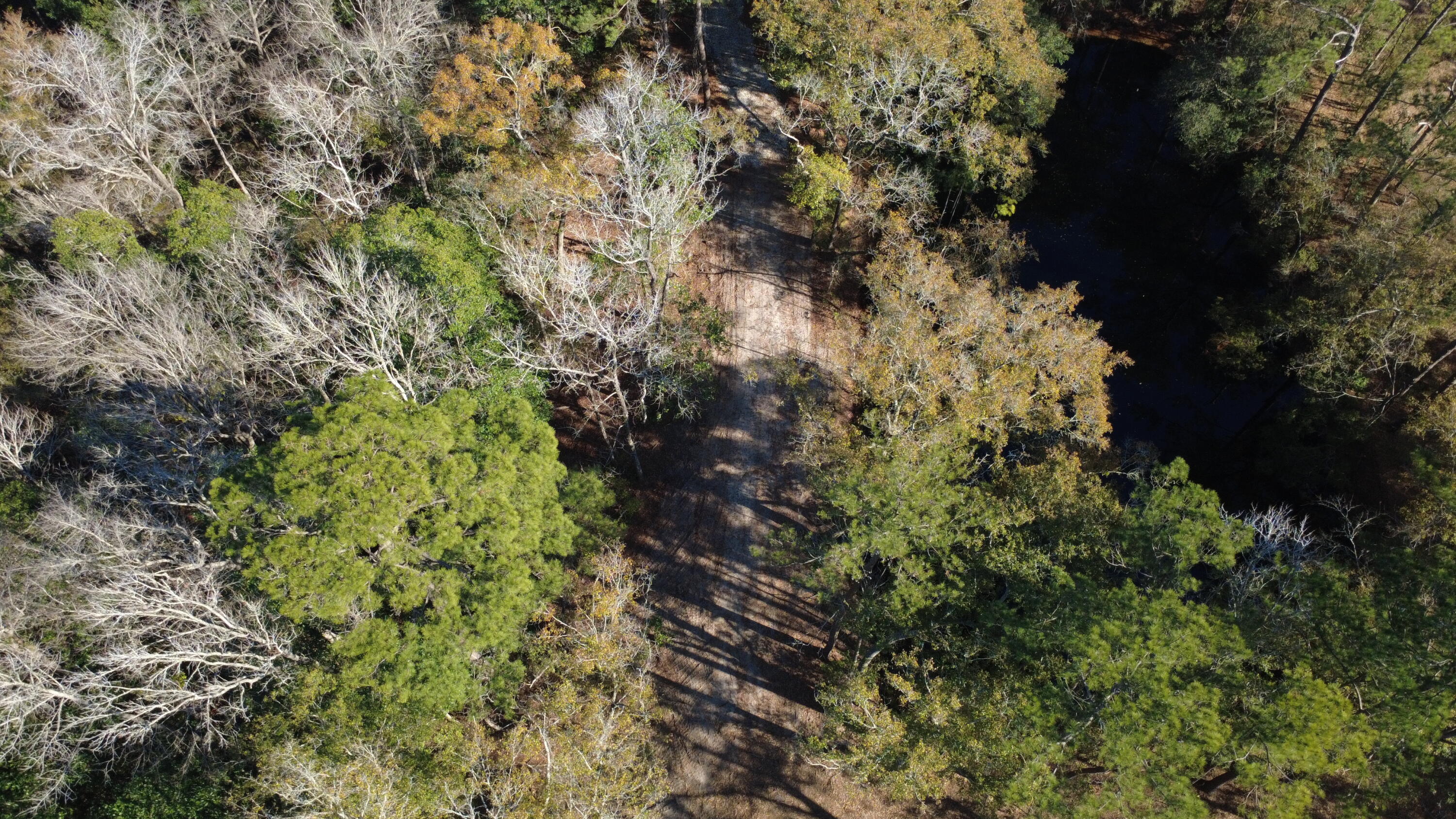 7225 Highway 165 Ravenel, SC 29470 - Photo 32 of 42 DJI_0024