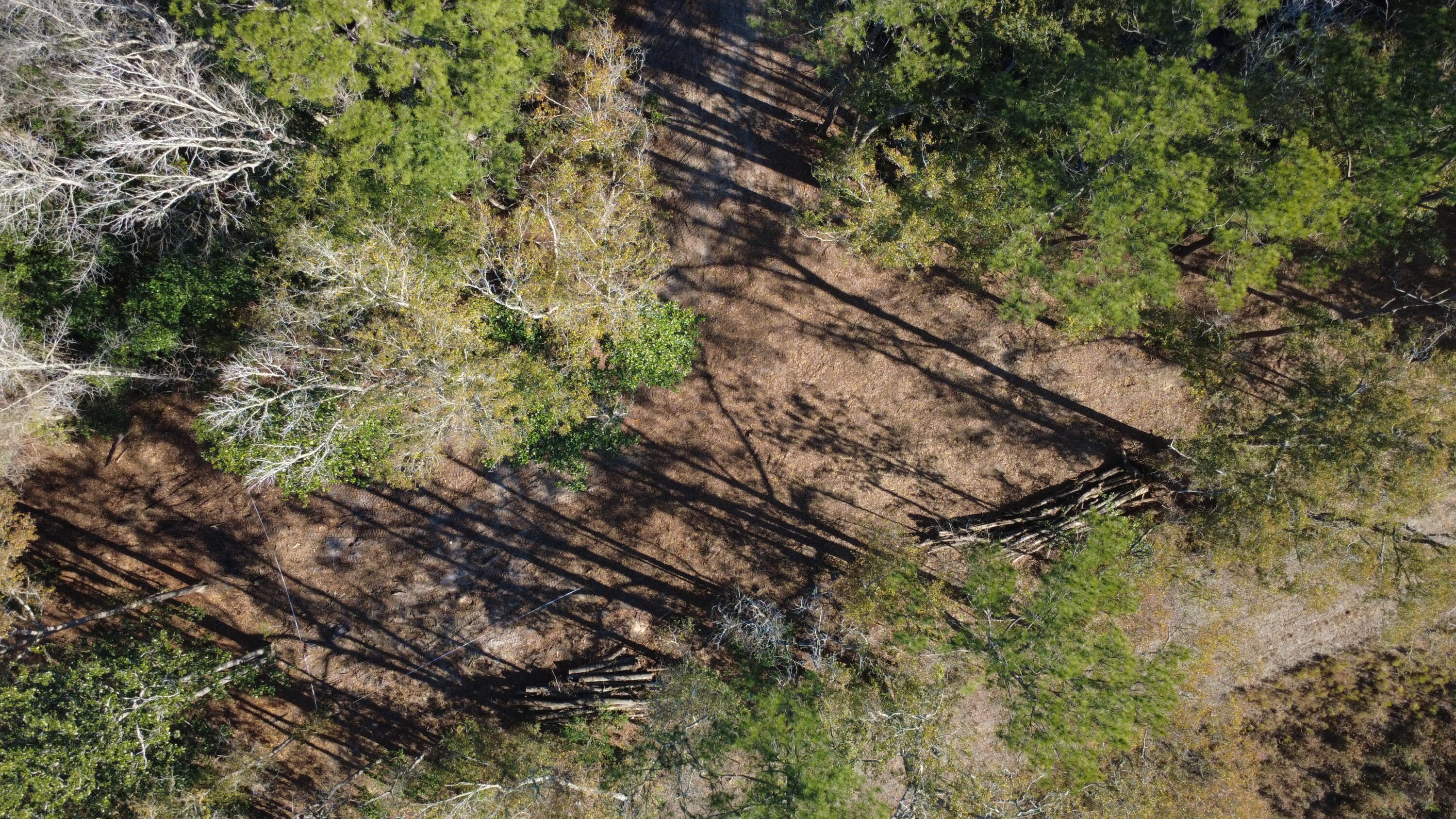 7225 Highway 165 Ravenel, SC 29470 - Photo 33 of 42 DJI_0025