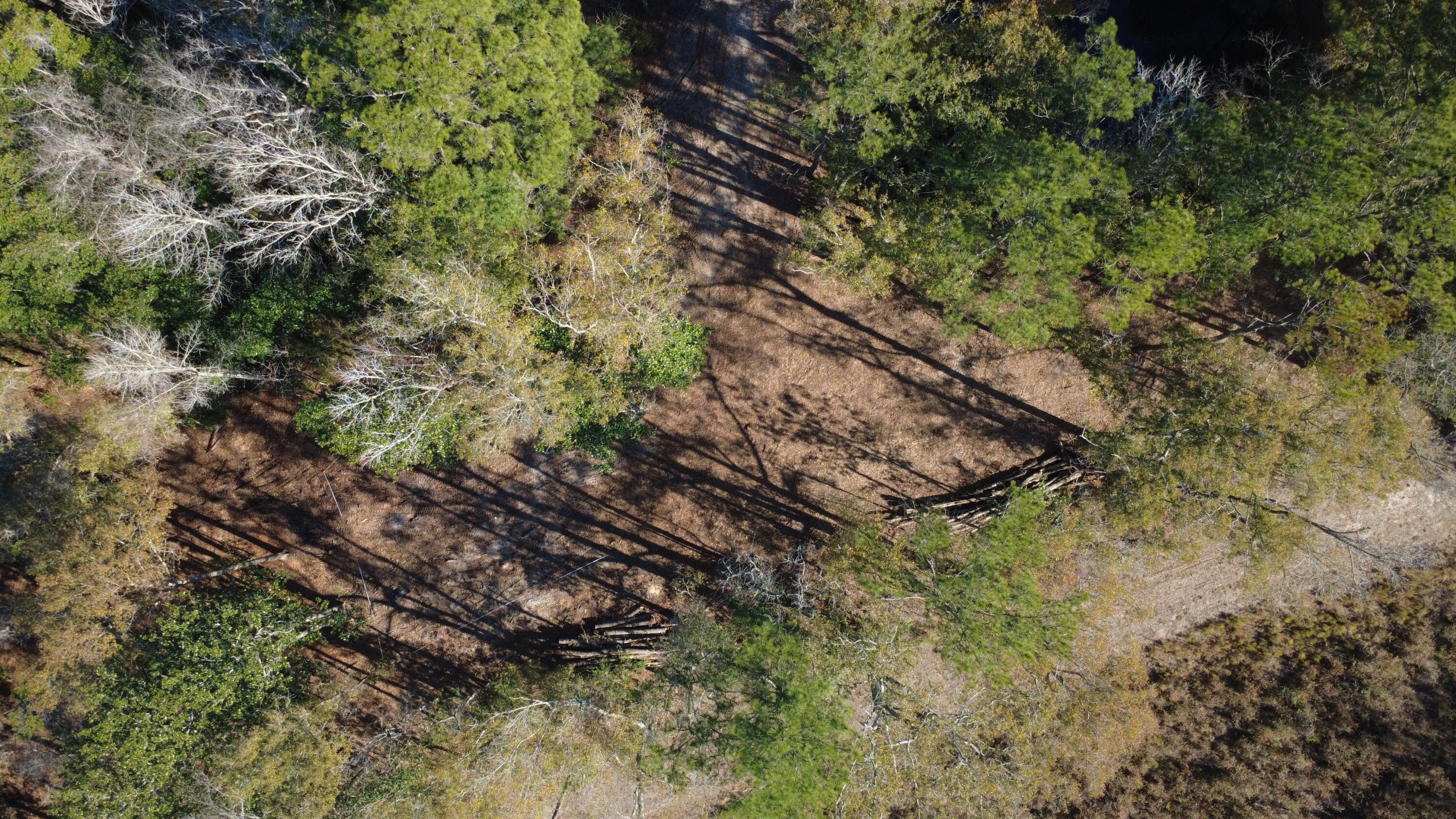 7225 Highway 165 Ravenel, SC 29470 - Photo 34 of 42 DJI_0026