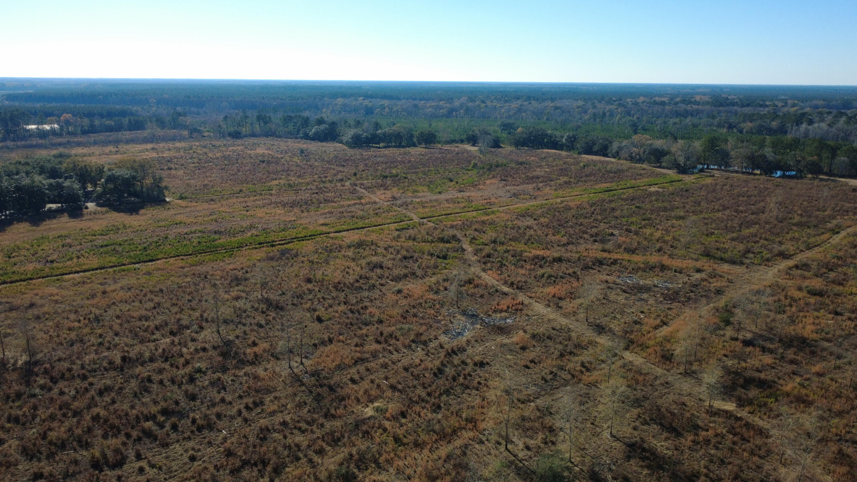 7225 Highway 165 Ravenel, SC 29470 - Photo 39 of 42 DJI_0031