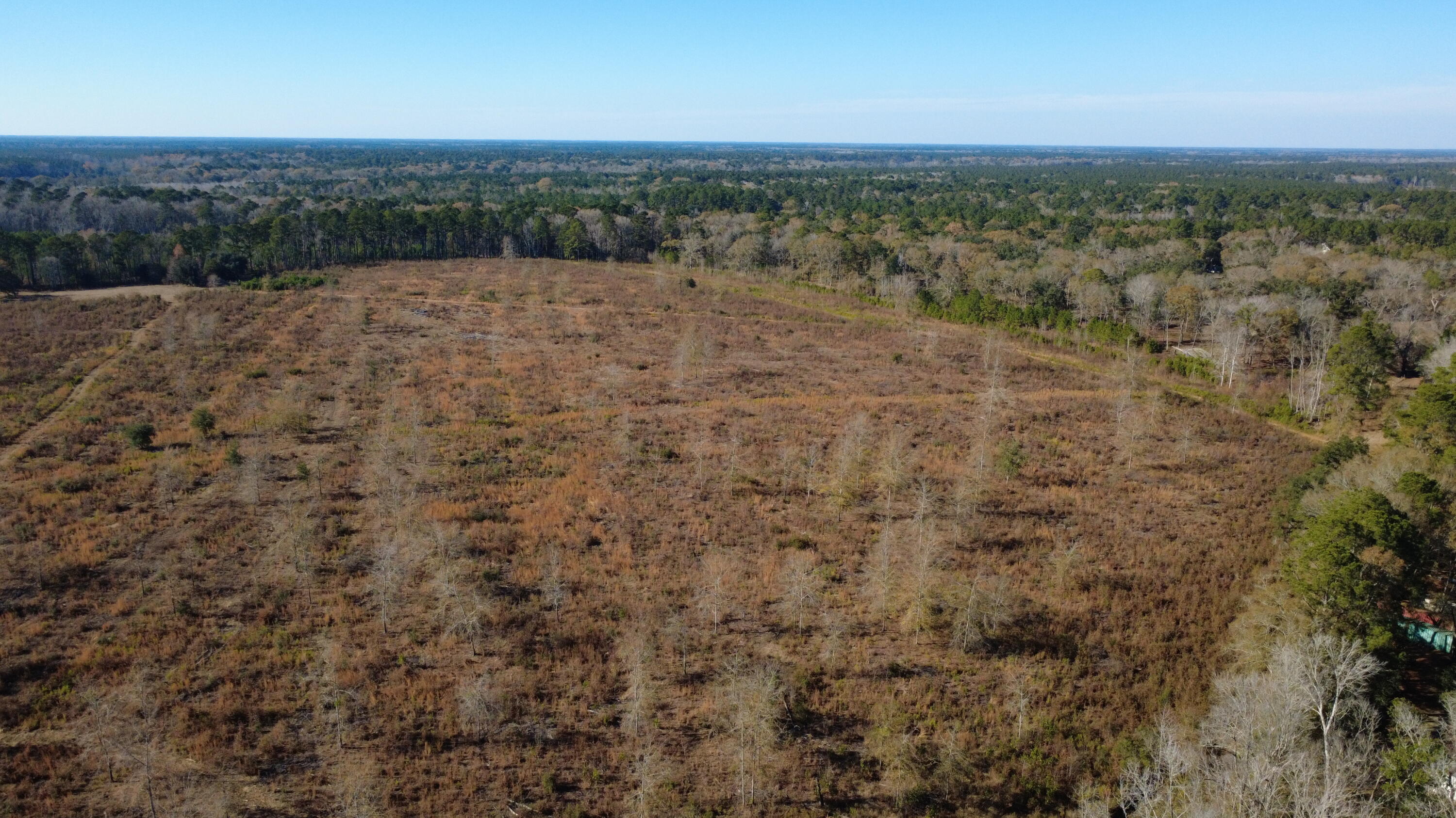 7225 Highway 165 Ravenel, SC 29470 - Photo 40 of 42 DJI_0032