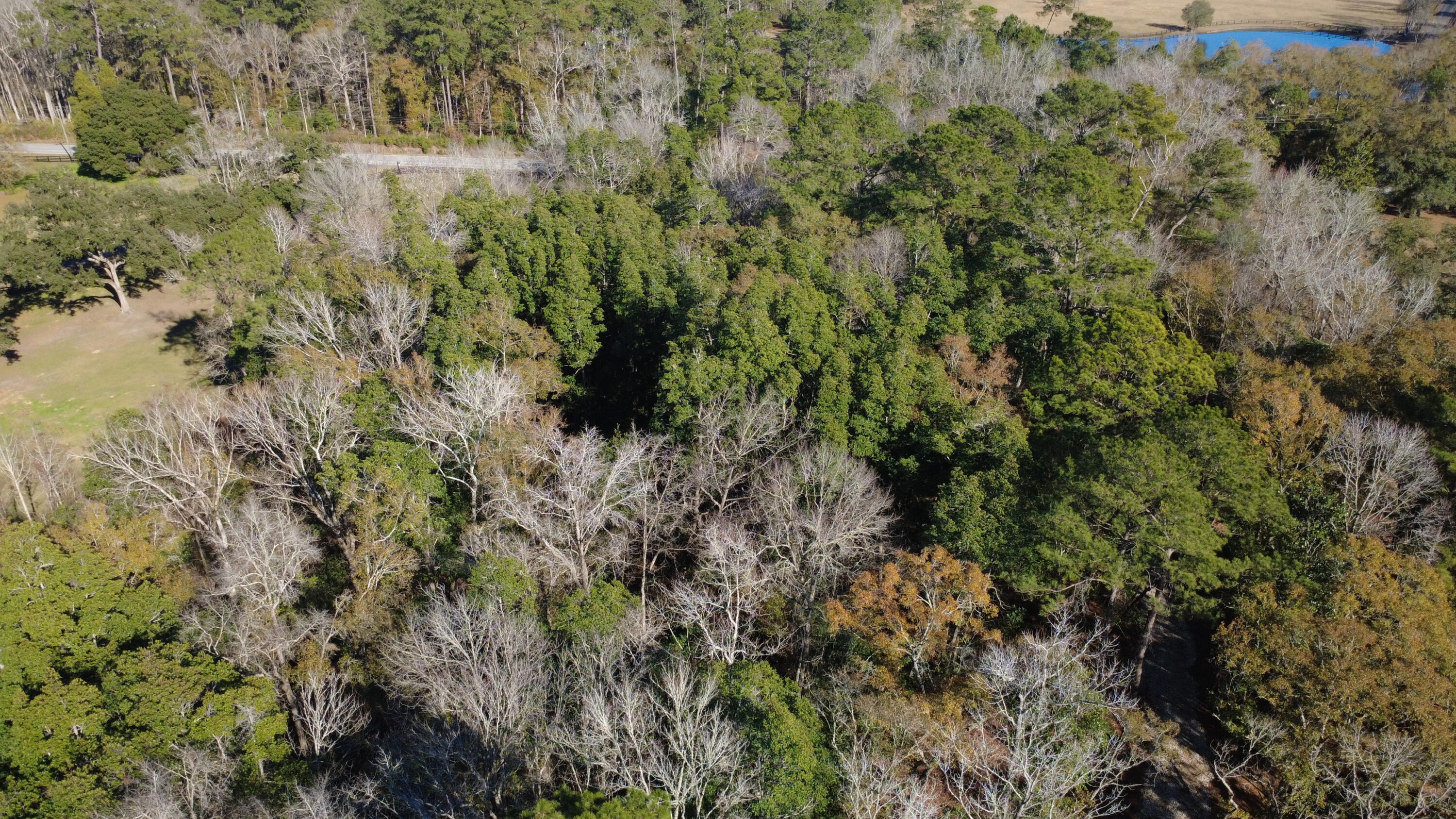 7225 Highway 165 Ravenel, SC 29470 - Photo 5 of 42 DJI_0022
