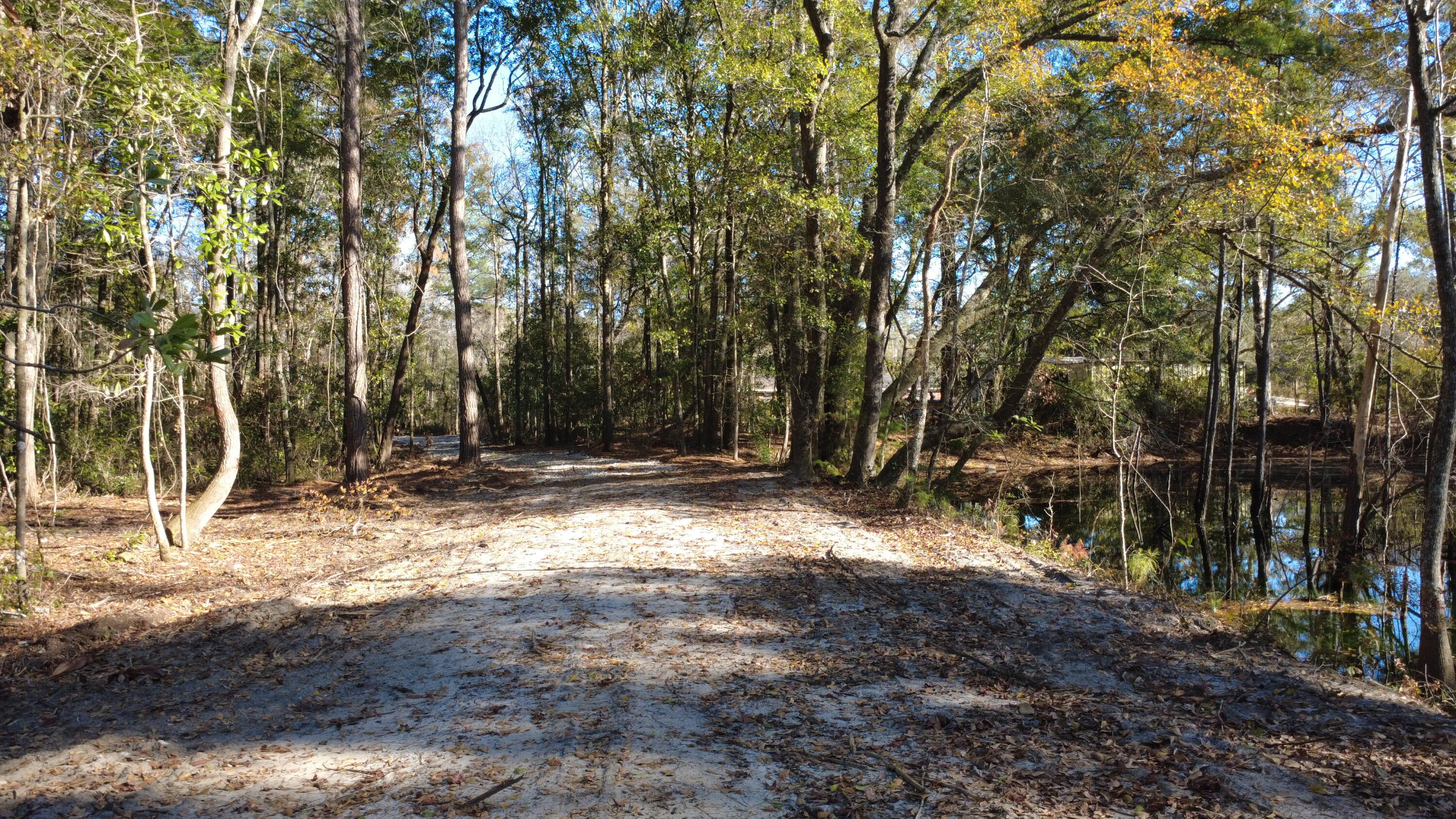 7225 Highway 165 Ravenel, SC 29470 - Photo 7 of 42 DJI_0035