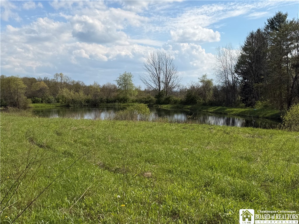 0 Scott Hill Road Kennedy, NY 14747 - Photo 7 of 16