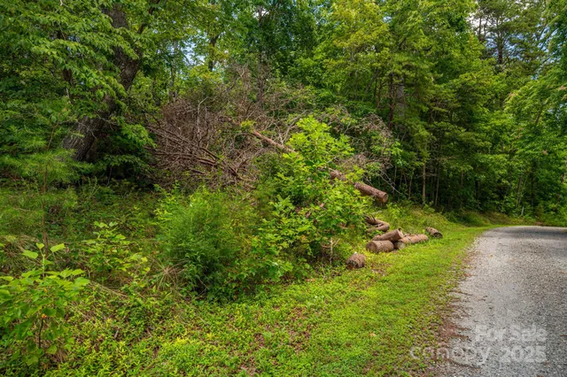 a view of a yard with a tree